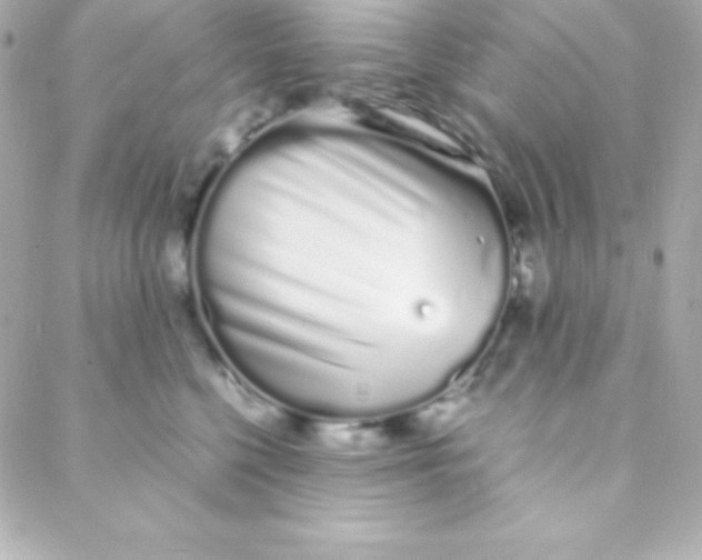 X0000088130568200705291336