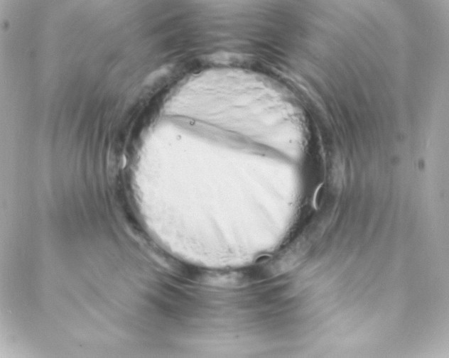 X0000088130569200705291336