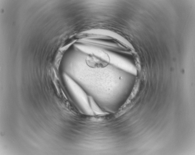 X0000088130570200705291336