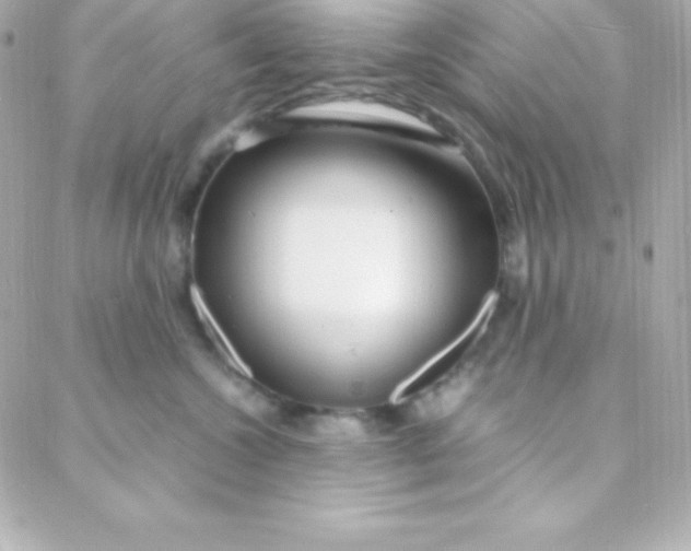 X0000088130572200705291336