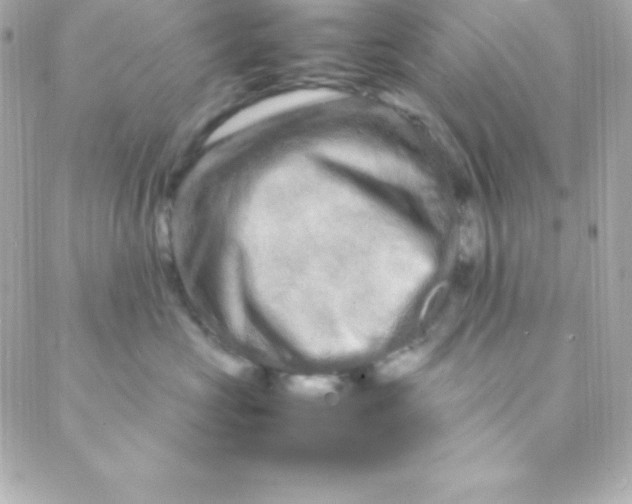 X0000088130573200705291336