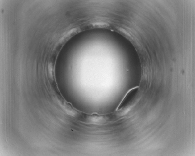 X0000088130575200705291336