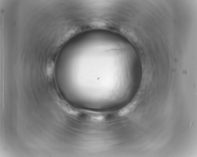 X0000088130576200705291336