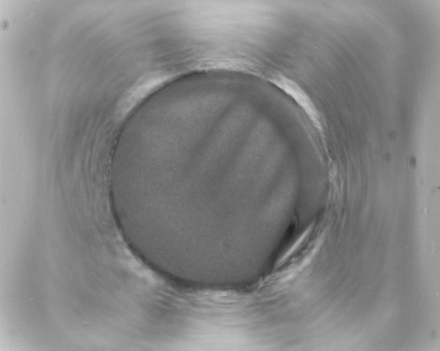 X0000088130577200705291335