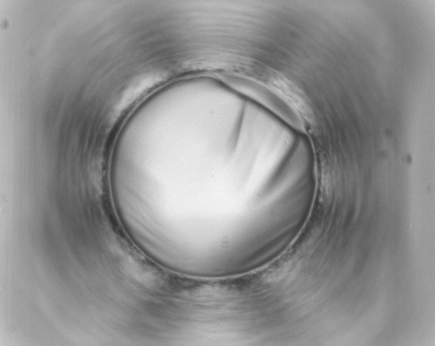 X0000088130578200705291335