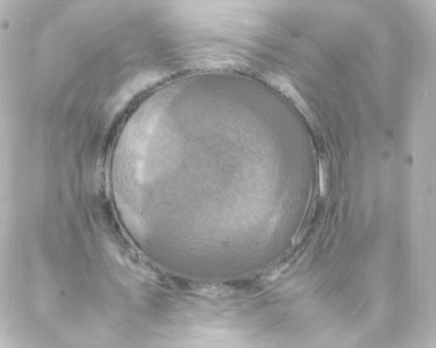 X0000088130579200705291335