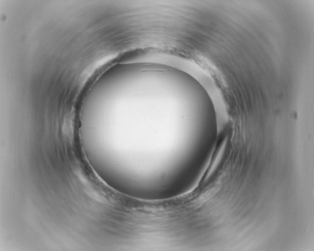 X0000088130580200705291335