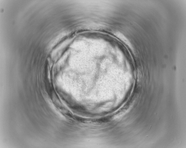 X0000088130581200705291335