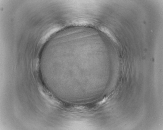 X0000088130583200705291335