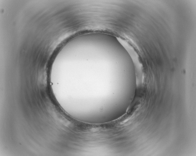 X0000088130584200705291335