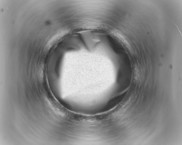 X0000088130586200705291335