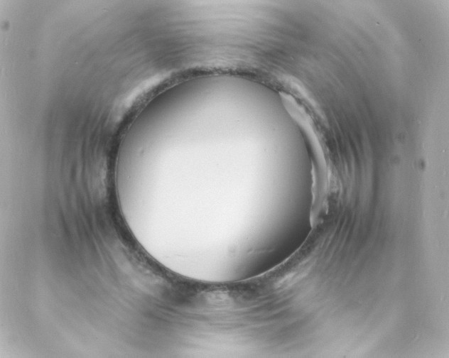 X0000088130588200705291335