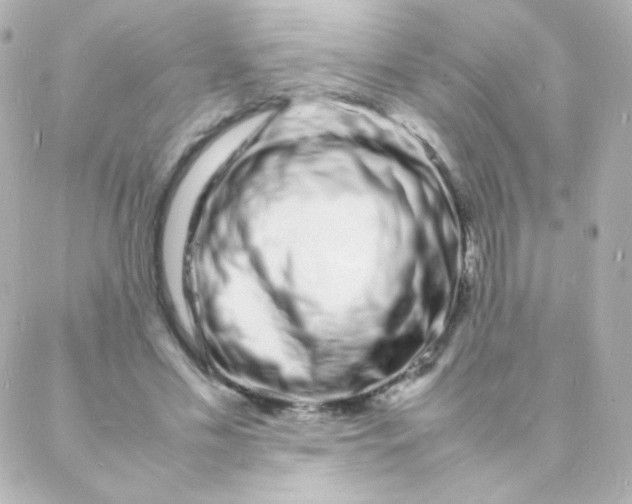 X0000088130589200705291335