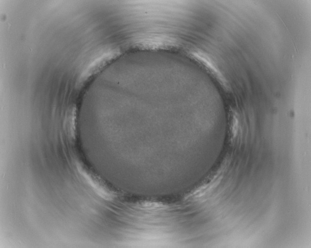 X0000088130590200705291335