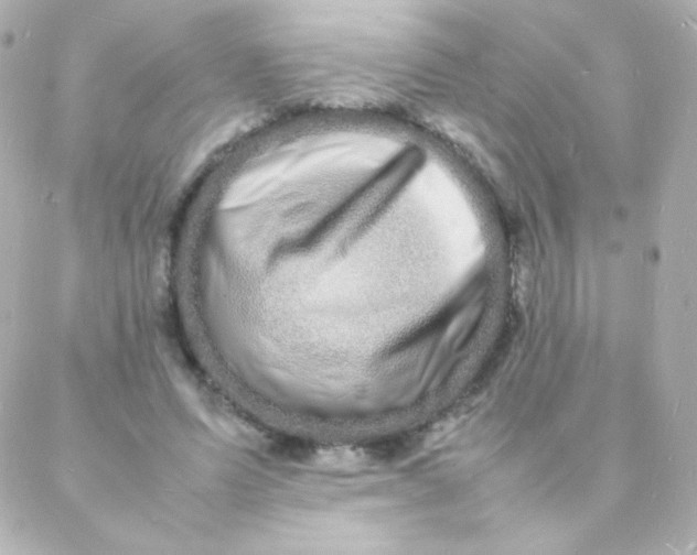 X0000088130591200705291335