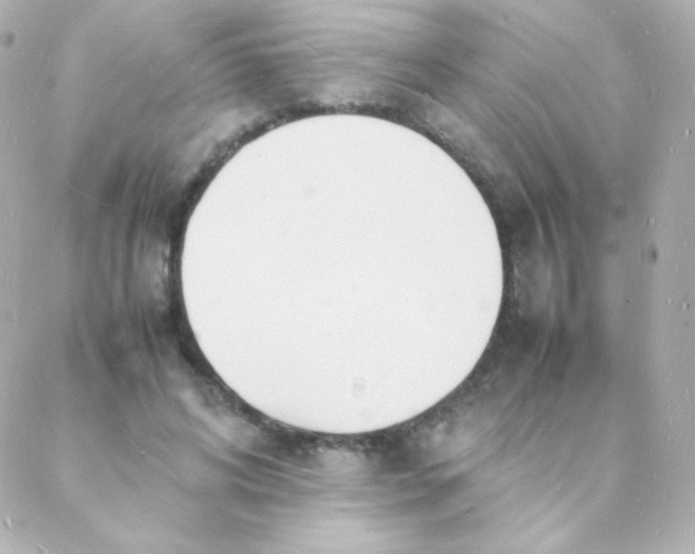 X0000088130592200705291335