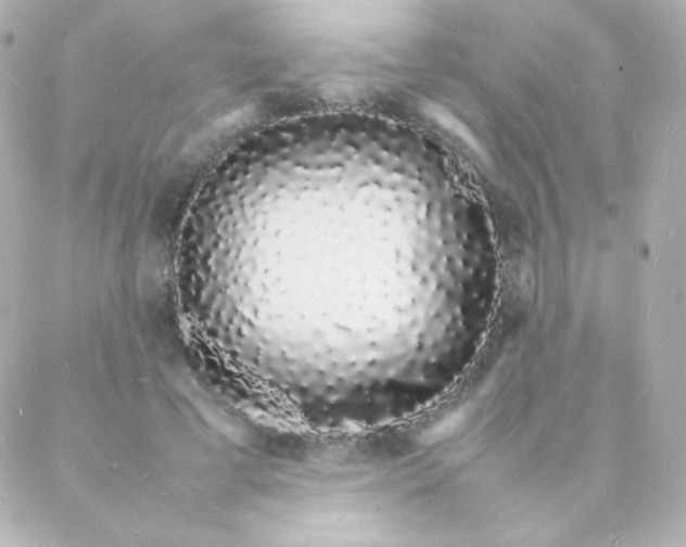 X0000088130593200705291335