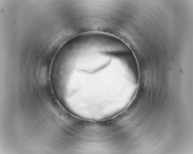 X0000088130594200705291335