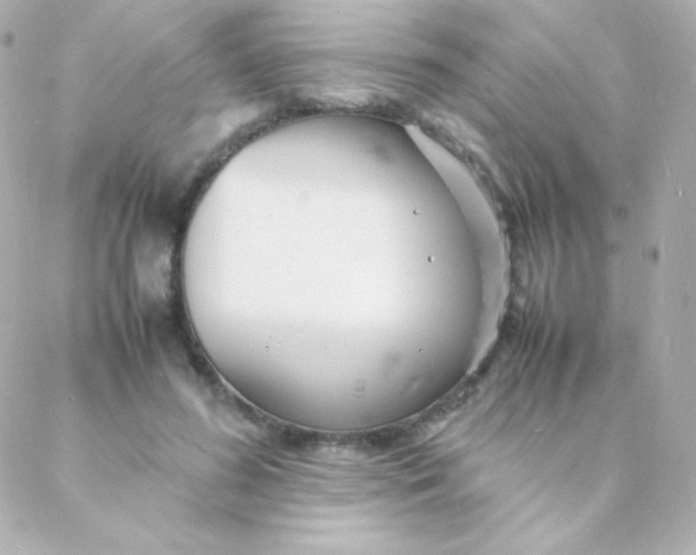 X0000088130596200705291335