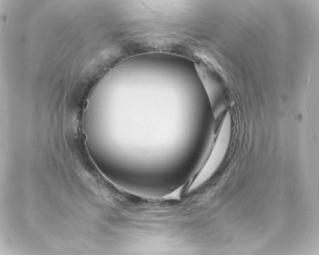 X0000088130597200705291335