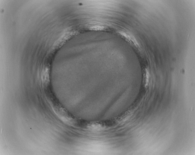 X0000088130598200705291335