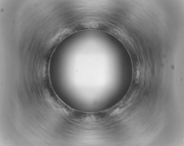 X0000088130600200705291335