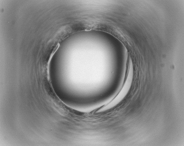 X0000088130601200705291335