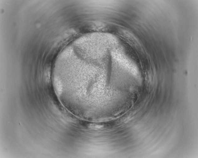 X0000088130602200705291335