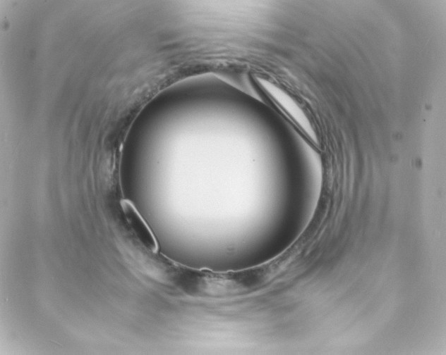 X0000088130605200705291335