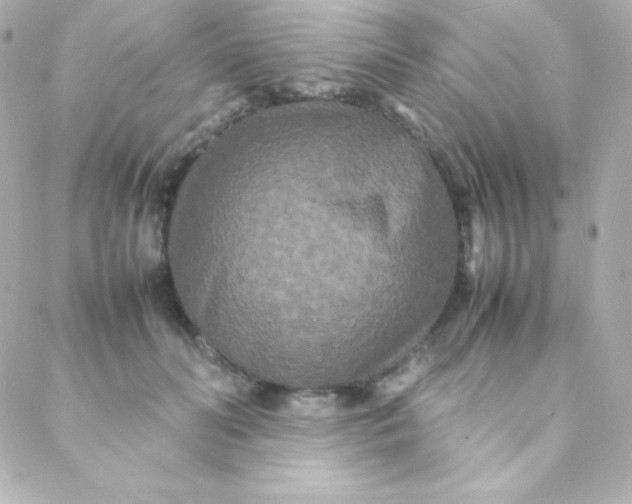 X0000088130606200705291335