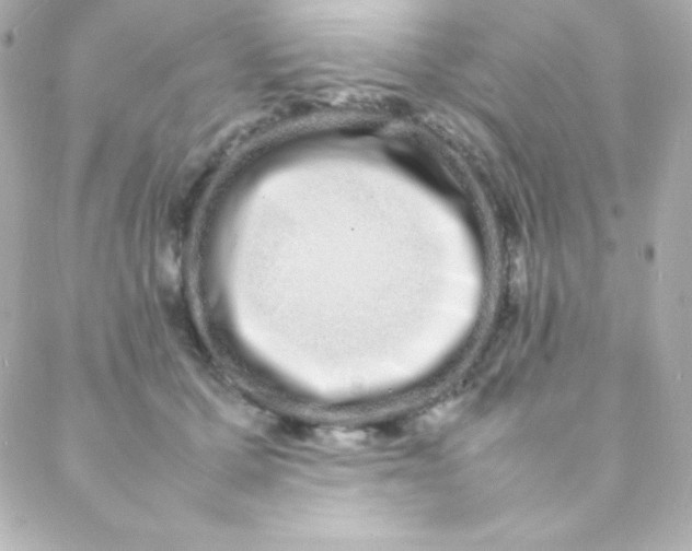 X0000088130607200705291335