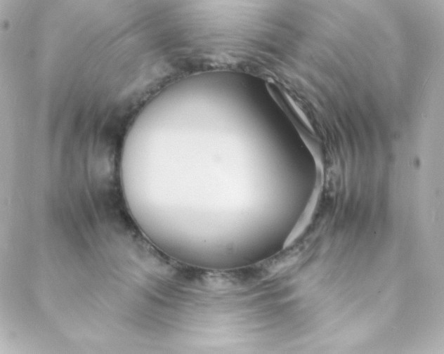 X0000088130608200705291335