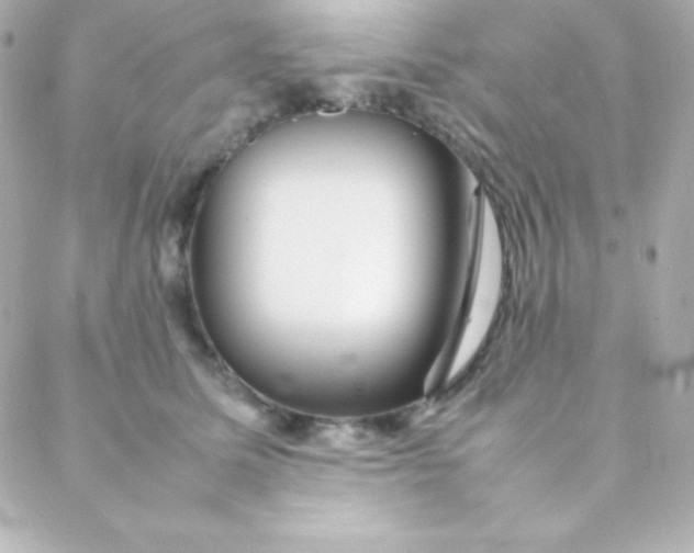 X0000088130611200705291334