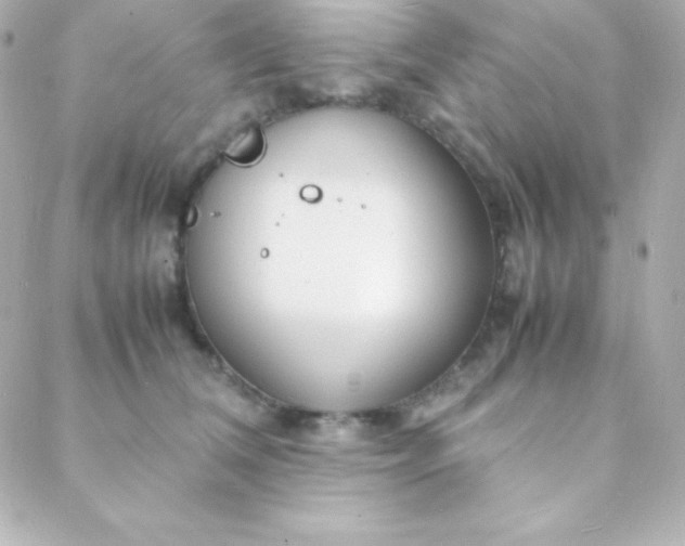 X0000088130612200705291334