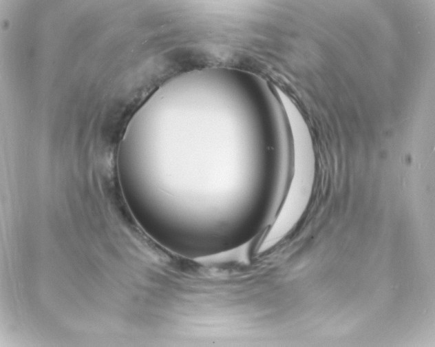 X0000088130613200705291334