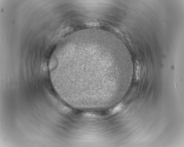 X0000088130614200705291334