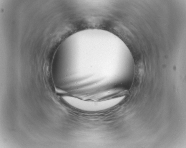 X0000088130615200705291334