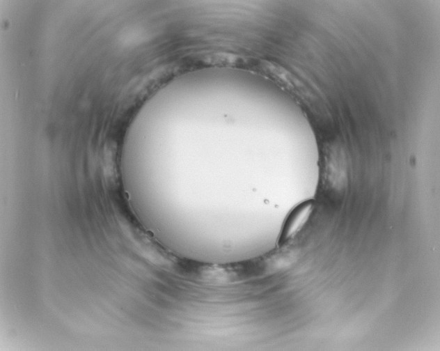 X0000088130616200705291334