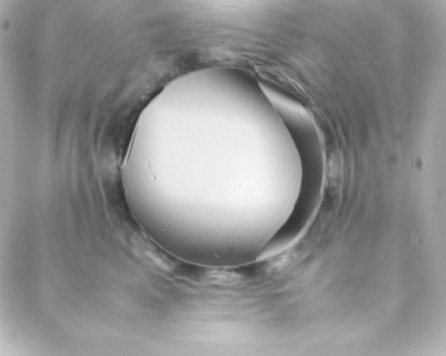 X0000088130617200705291334