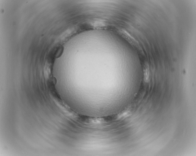 X0000088130618200705291334