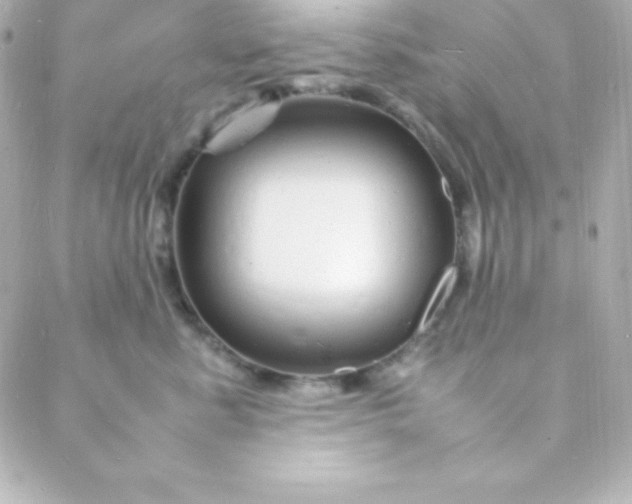 X0000088130619200705291334