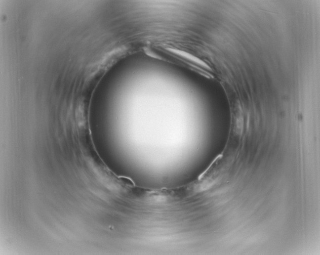 X0000088130620200705291334