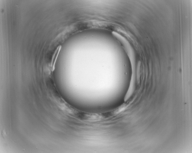 X0000088130621200705291334