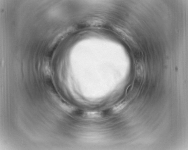 X0000088130622200705291334