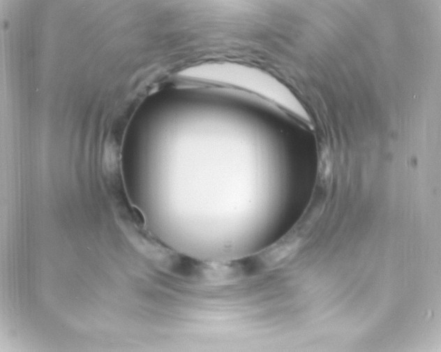 X0000088130623200705291334