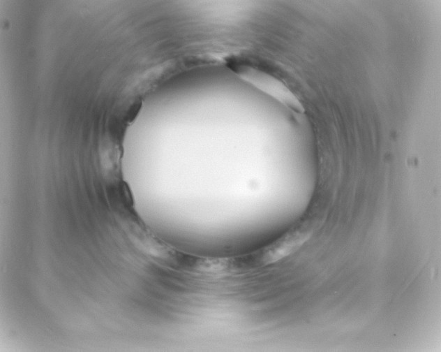 X0000088130624200705291334