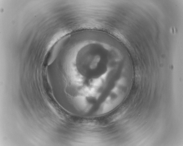 X0000088130626200705291334