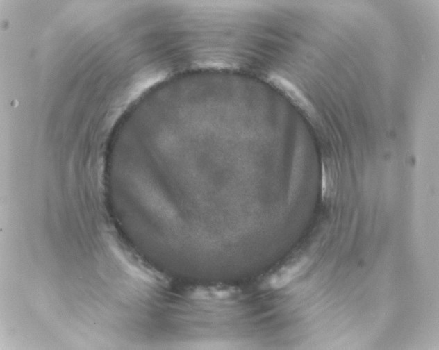 X0000088130627200705291334