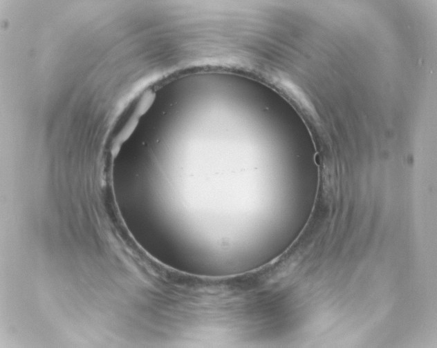 X0000088130628200705291334