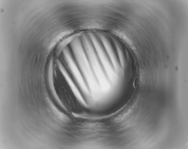 X0000088130629200705291334